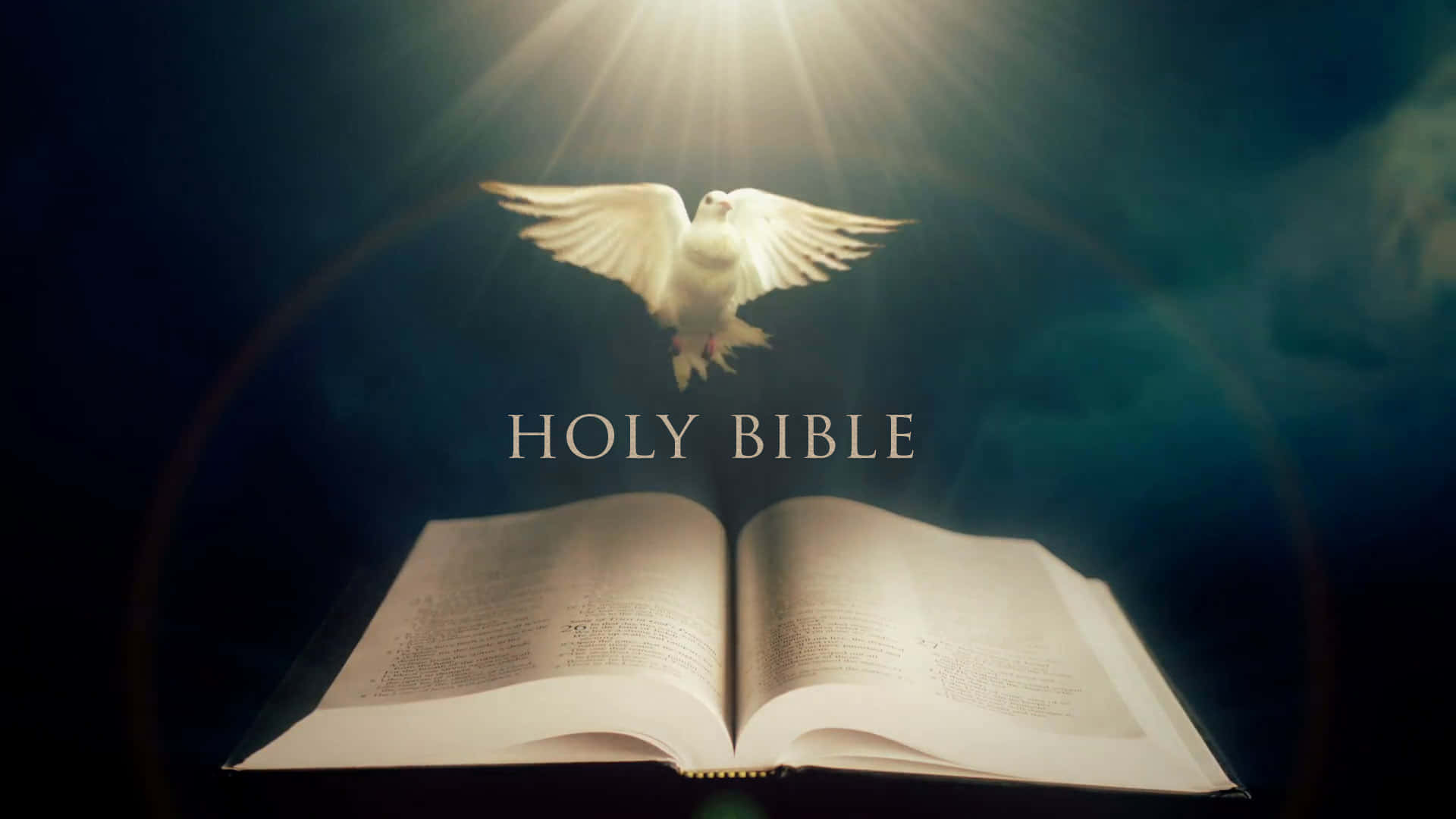 holy bible